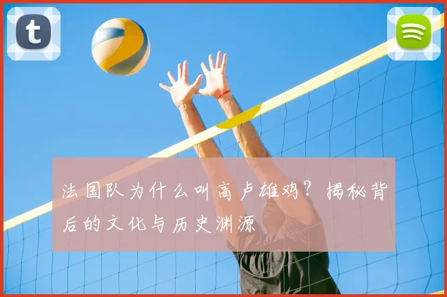 法国队为什么叫高卢雄鸡？揭秘背后的文化与历史渊源